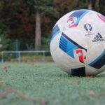 Bet on Benfica – Ajax in the Champions League