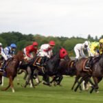 The 5 Best 2023 Preakness Stakes Betting Sites