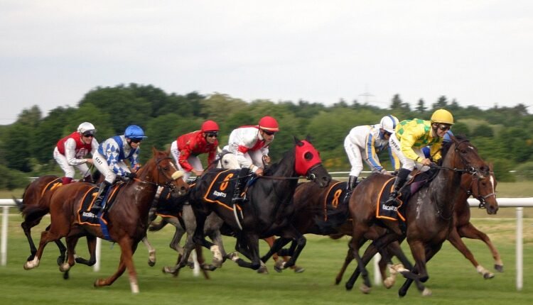 The 5 Best 2023 Preakness Stakes Betting Sites