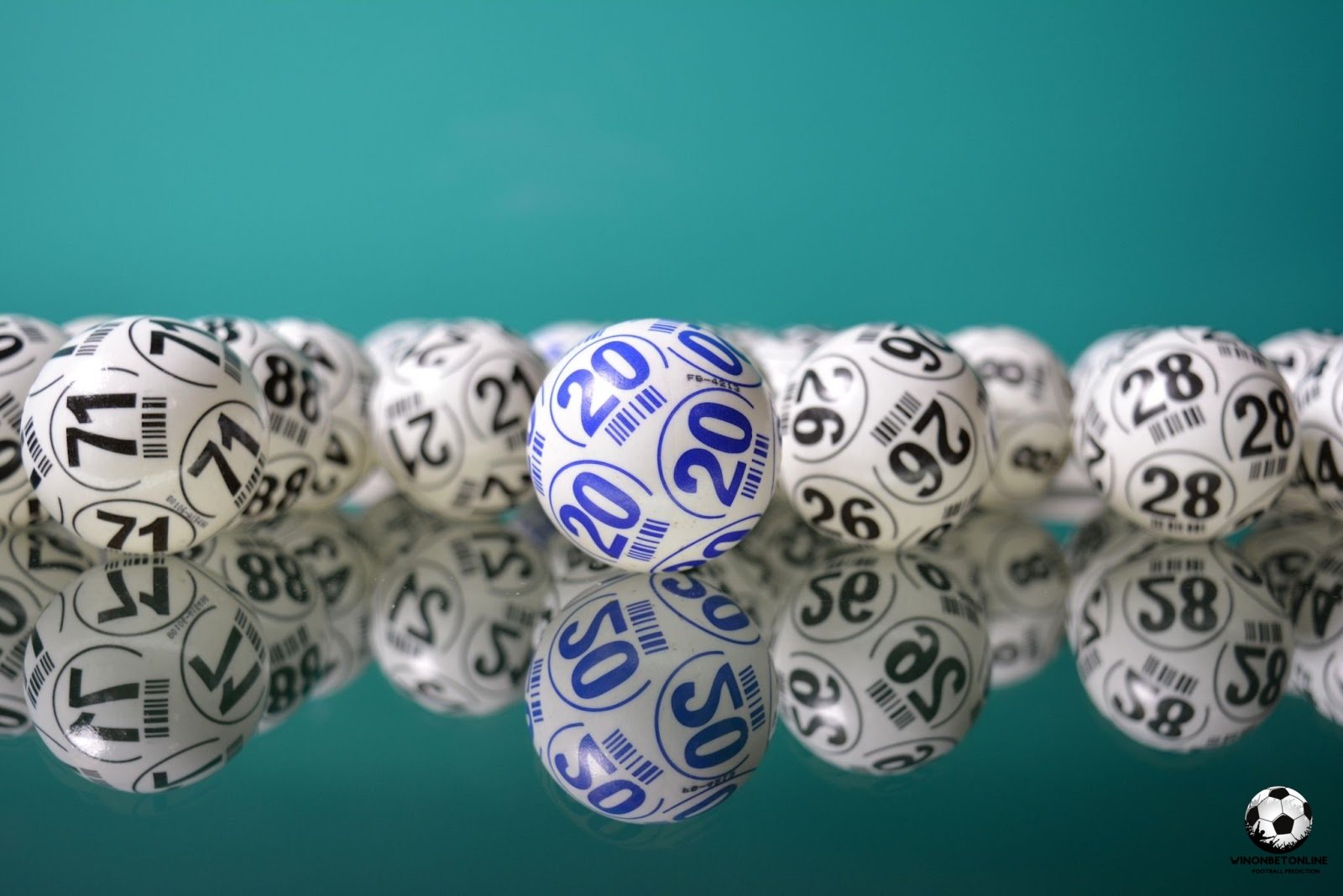 Fun Facts About Bingo Philippines