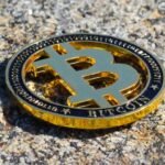 Suriname Could Surpass Argentina and Be the Next Country to Adopt Bitcoin as Legal Tender