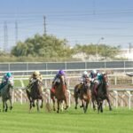 A group of jockeys racing on horses Description automatically generated