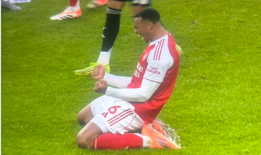 Referees' boss Howard Webb backs Arsenal penalty call vs. Newcastle