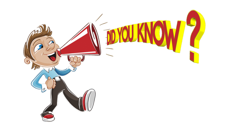 What You Need to Know About Online Casinos