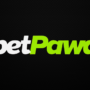 BetPawa Cameroon Review 2026