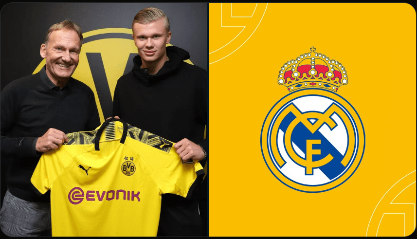 Haaland Dreams of Real Madrid Move but Will Stay at Manchester City, Says Dortmund Chief