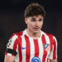 Julian Alvarez in action for Atletico Madrid