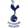 Who Owns Tottenhams Stadium